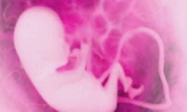 سوالهایی پیرامون بارداری(1)