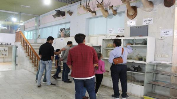 بازگشایی مجدد موزه های لرستان