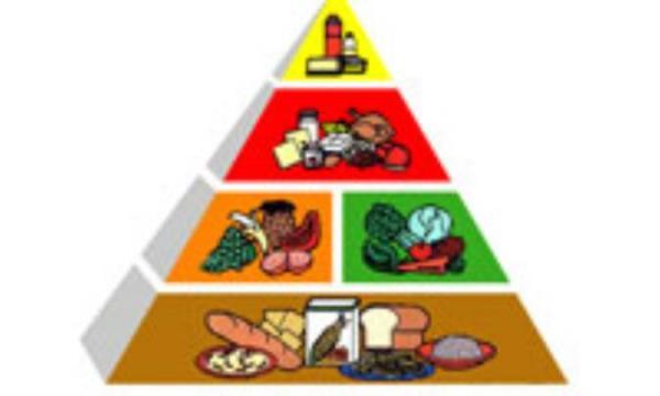 غذای سالم برای داشتن ذهن سالم غذای سالم برای داشتن فکر سالم