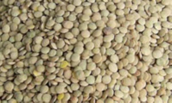 غذاهای مقوی اما ناشناس غذاهای مقوی اما ناشناس