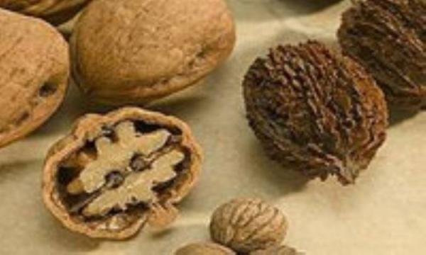 این ها را بخورید تا جوش نزنید این ها را بخورید تا جوش نزنید
