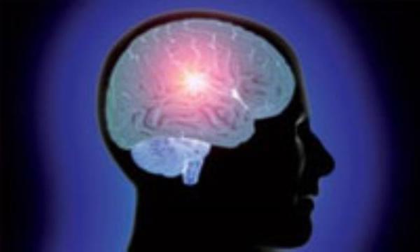 رفتارهای مخرب مغز رفتارهای مخرب مغز