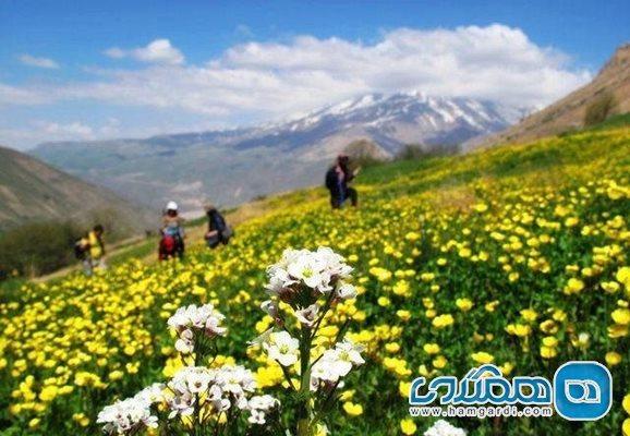روستای پلور آمل و دیدنی هایی که در بطن خود دارد