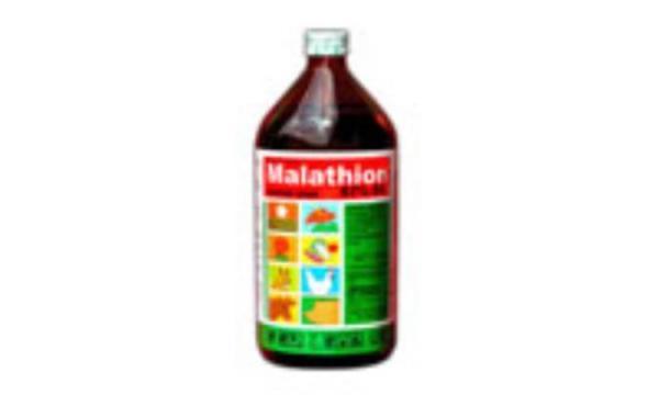 مالایتون Malathion مالایتون Malathion