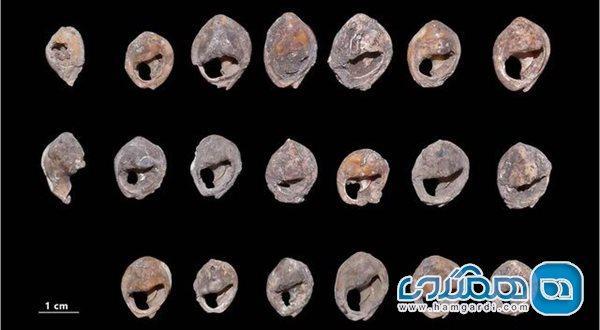 مجموعه ای از صدف های حلزون مراکش قدیمی ترین جواهرات دنیا محسوب می گردد