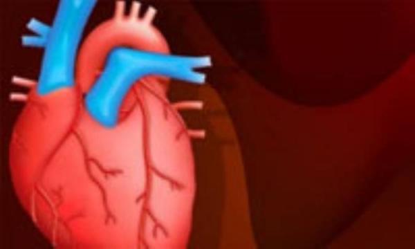 ایست زندگی با ترمز قلب ایست زندگی با ترمز قلب