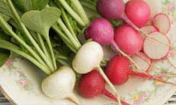 ترب سبزی سنگ شکن