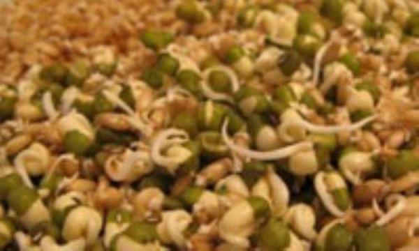 با جوانه ها جوان بمانید!
