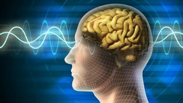 کپی مغز انسان روی تراشه های 3 بعدی؛ از رویا تا واقعیت
