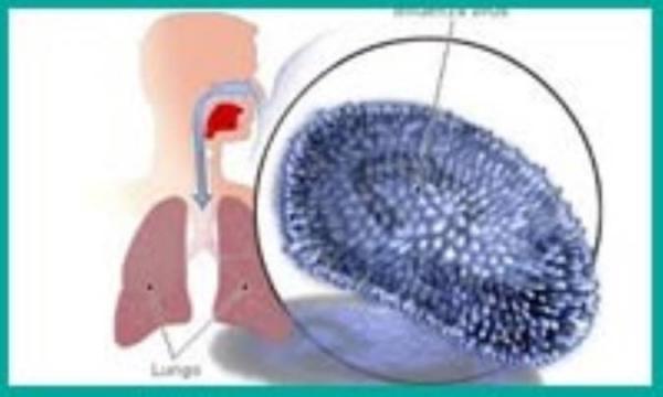 آخرین اطلاعات درباره آنفلوانزای مرگبار