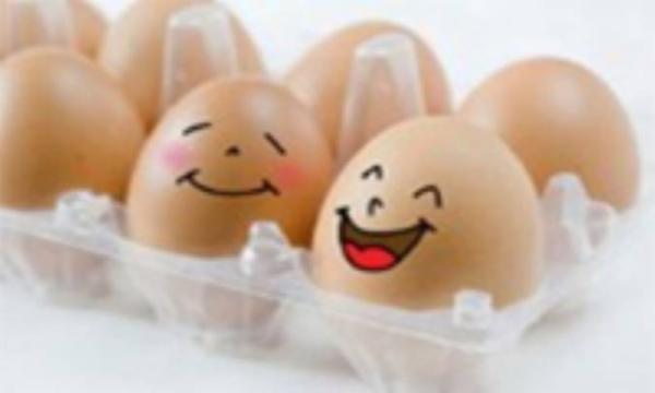 ارزش غذایی تخم مرغ