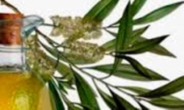 روغن درخت چای برای درمان آکنه