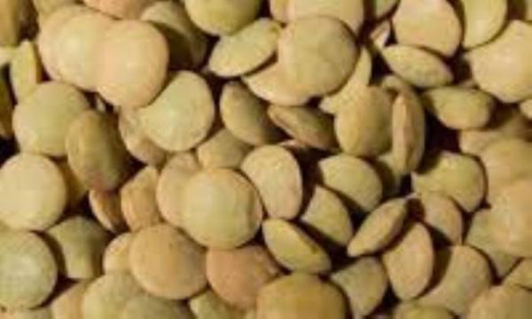 اطلاعاتی از ارزش غذایی عدس که روز شما را به طور کامل می سازد