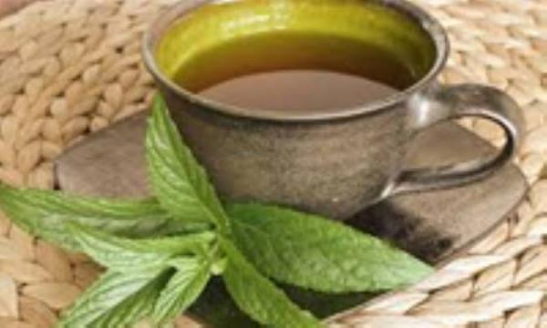 روغن نعناع تند برای مو