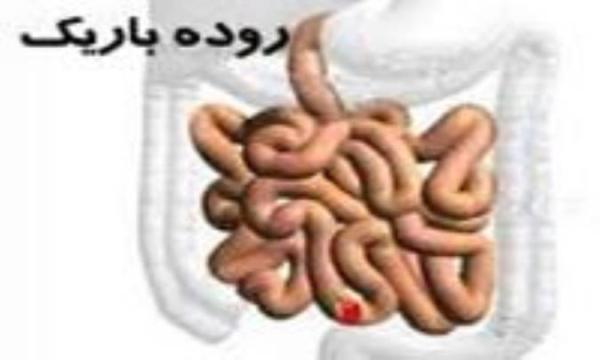 عملکرد روده باریک