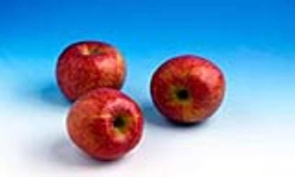 ویتامین های موجود در سیب ویتامین های موجود در سیب