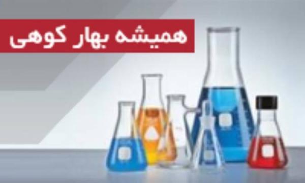 همیشه بهار کوهی .Arnica mont همواره بهار کوهی .Arnica mont