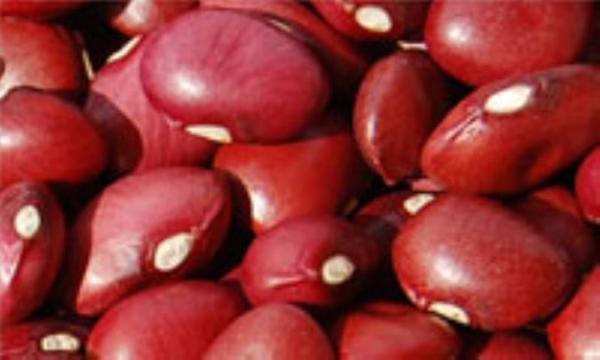 فوائد لوبیا در سلامت