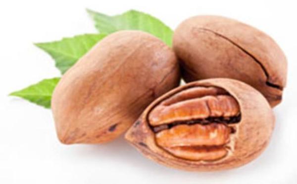مواد مغذی موجود در گردوی پی کان