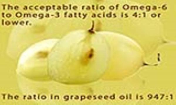 فهرستی از مواد غذایی حاوی امگا 6 فهرستی از مواد غذایی حاوی امگا 6
