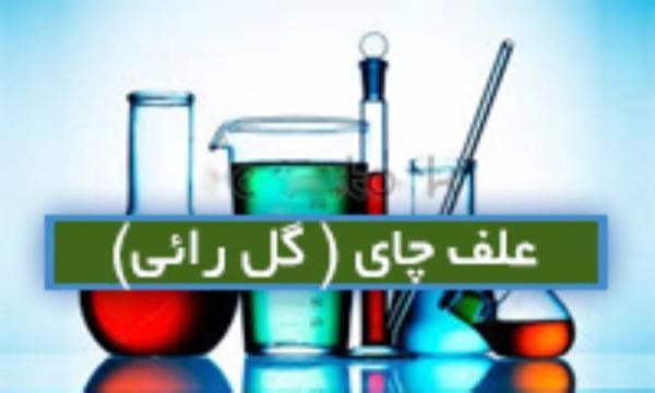 علفی چای (گل راعی) Hypericum