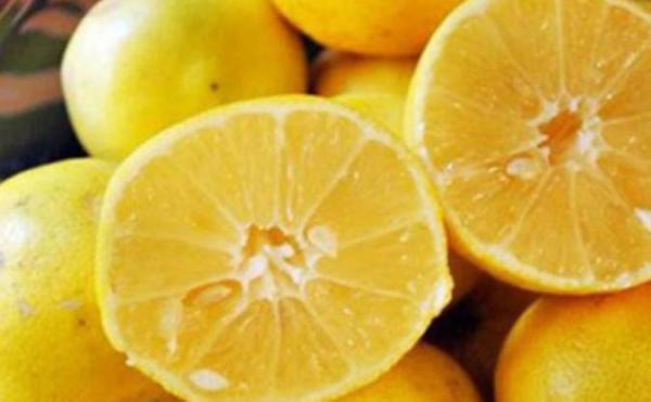 معرفی لیمو شیرین و خواص درمانی آن
