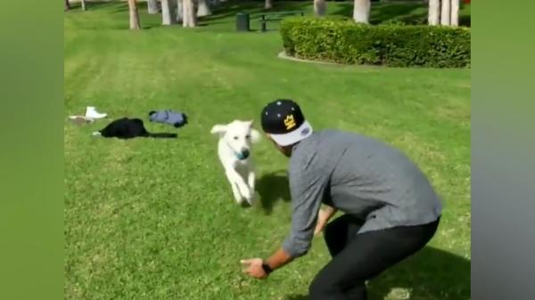 جلوه های ویژه شعبده بازی