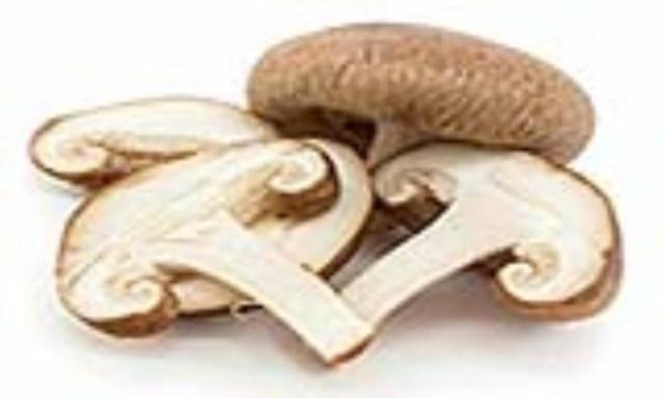 تأثیر قارچ برای درمان سرطان