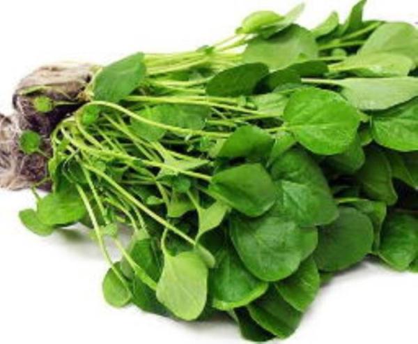 12 خاصیت شگفت انگیز شاهی