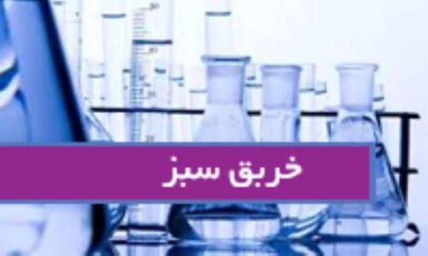 خربق سبز Veratrum viride