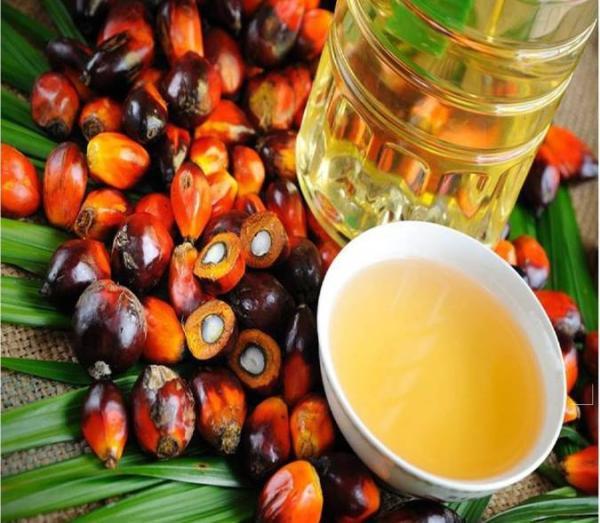 روغن پالم و فواید آن