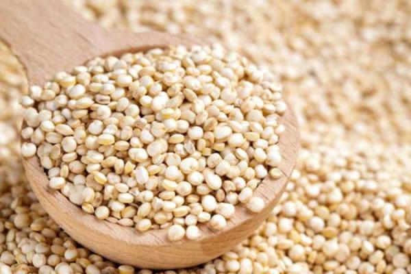 گیاه کینوا چه خواصی دارد؟
