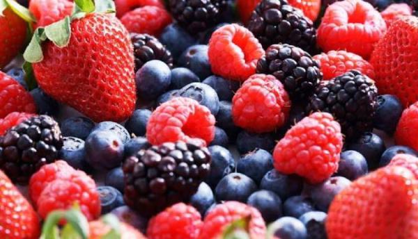 12 غذای سرشار از آنتی اکسیدان 12 غذای سرشار از آنتی اکسیدان