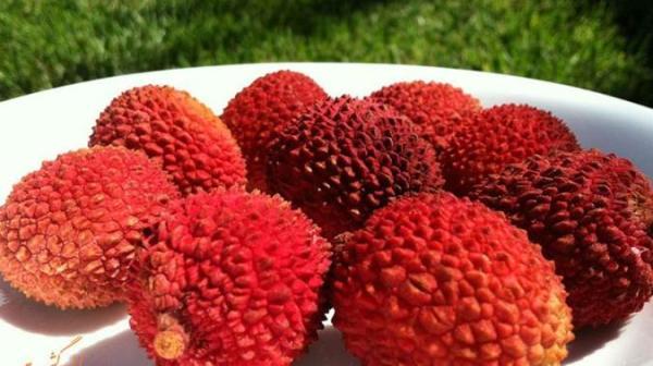 خواص و فواید میوه لیچی