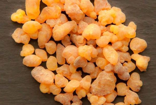 آشنایی با خواص و مضرات کندر