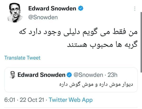 ادوارد اسنودن: من فقط می گویم دلیلی وجود دارد که گربه ها محبوب هستند