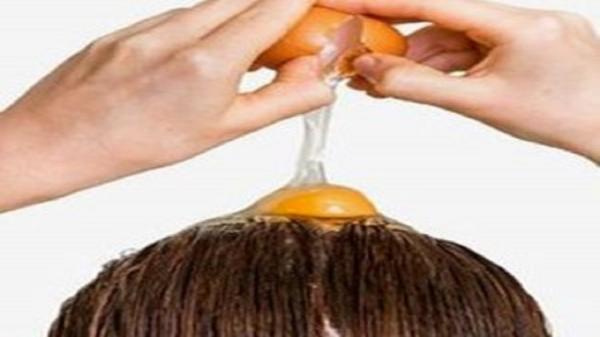 تاثیر زرده، سفیده و تخم مرغ کامل بر مو