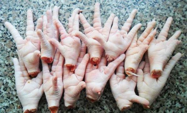 خوردن پای مرغ چه خواصی دارد؟
