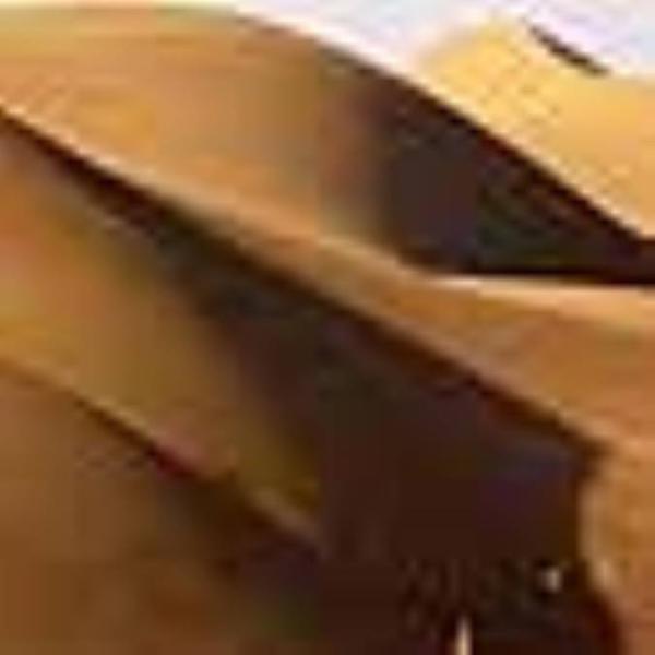 کویر (شوره زار) روح مرغوم