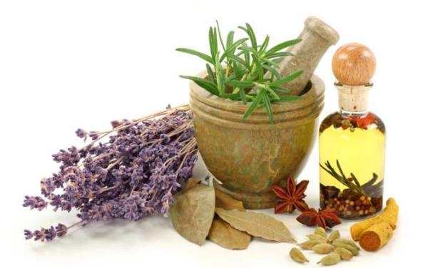 تغذیه، مزاج شناسی و حفظ سلامتی