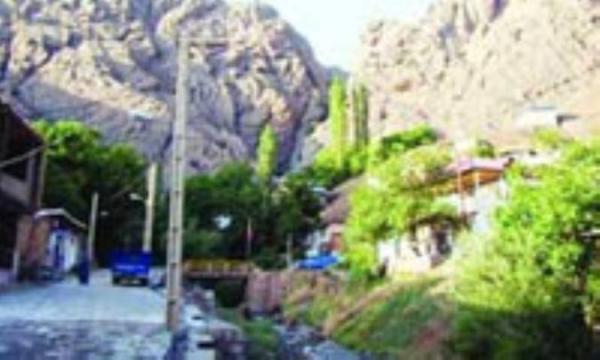 همسفر با آواز جیرجیرک ها