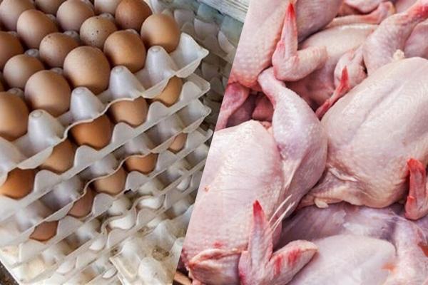 قیمت نو مرغ و تخم مرغ در میادین ، شانه 30تایی تخم مرغ چند؟
