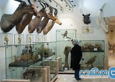 انتقاد رئیس گروه موزه های خراسان رضوی از بی توجهی به موزه ها