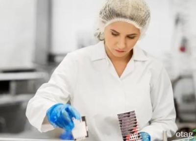 لباس کار مخصوص بانوان در صنایع مختلف